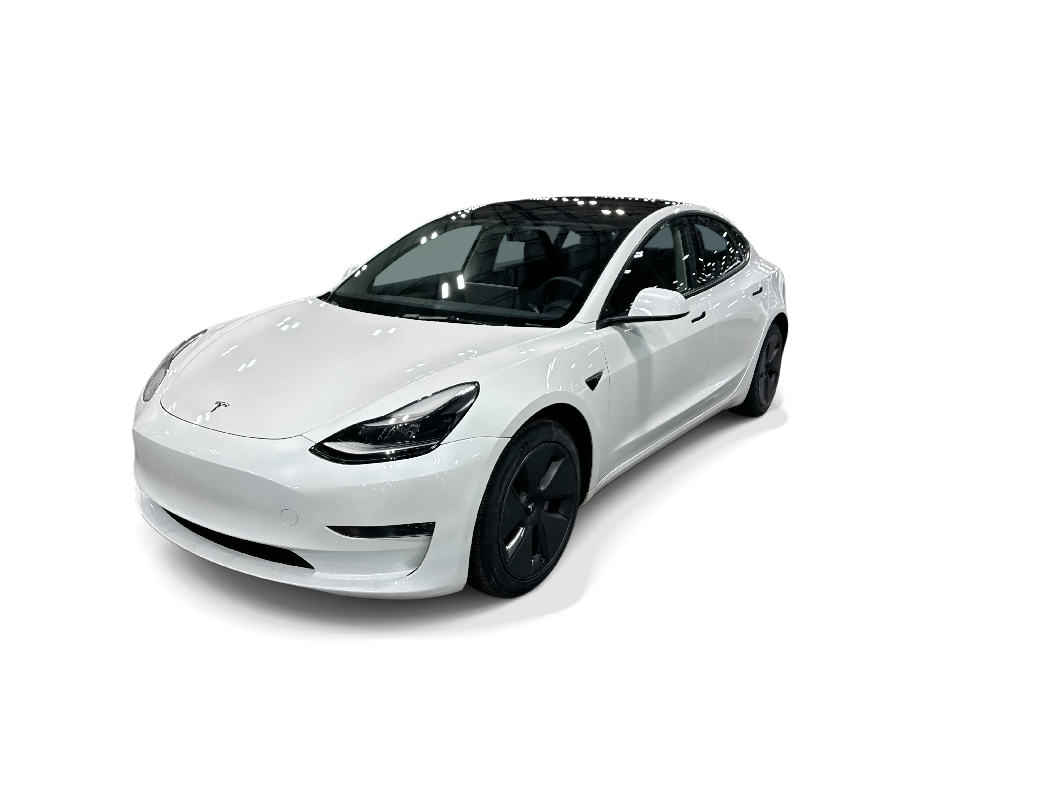 tesla model 3 2023 5YJ3E1EA3PF550813 image tesla model 3 2023 5YJ3E1EA3PF550813 image